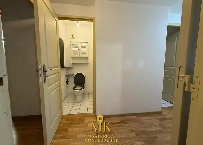 T4 Spacieux & Chaleureux Proche Stanislas * Nancy