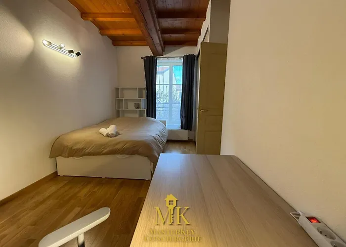 T4 Spacieux & Chaleureux Proche Stanislas